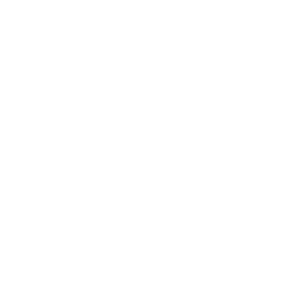 Disadvantaged Business Certified Enterprise